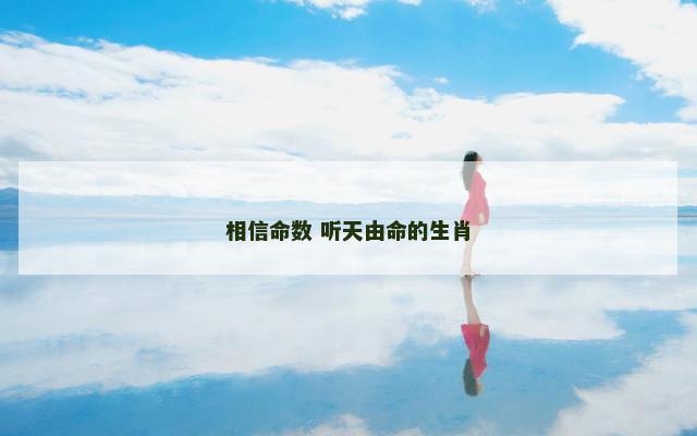 相信命数 听天由命的生肖