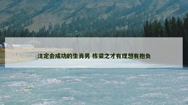 注定会成功的生肖男 栋梁之才有理想有抱负