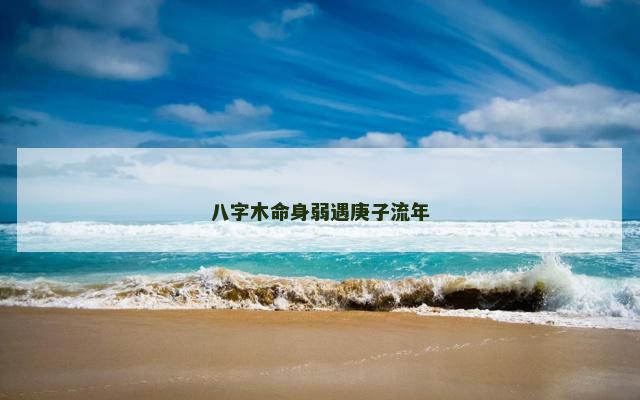 八字木命身弱遇庚子流年