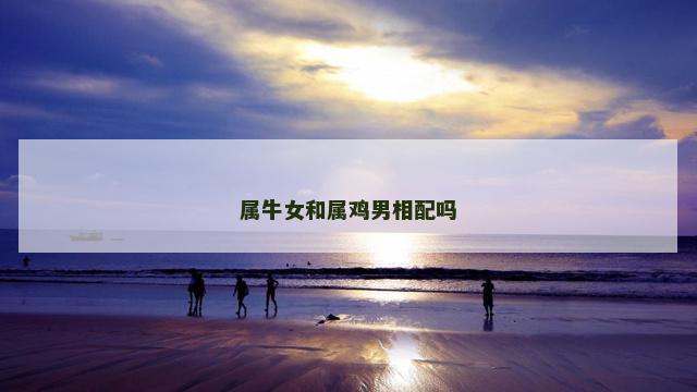 属牛女和属鸡男相配吗