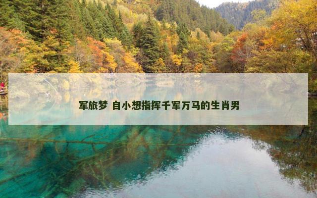 军旅梦 自小想指挥千军万马的生肖男