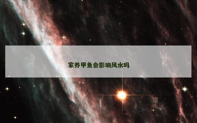 家养甲鱼会影响风水吗