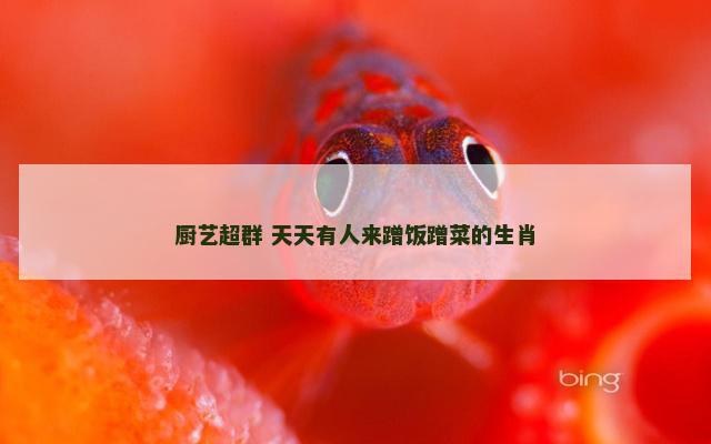 厨艺超群 天天有人来蹭饭蹭菜的生肖