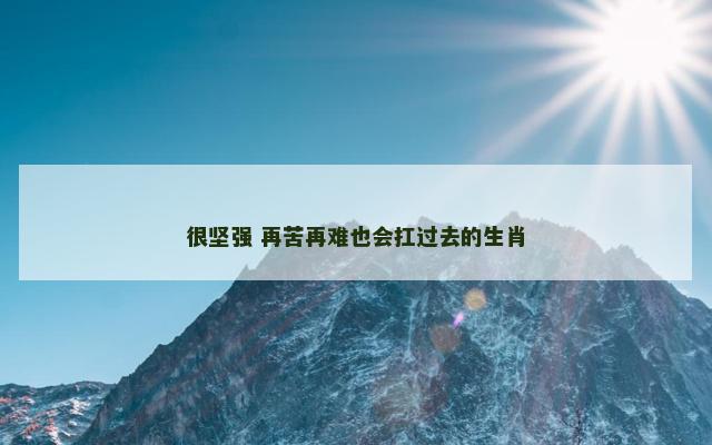 很坚强 再苦再难也会扛过去的生肖