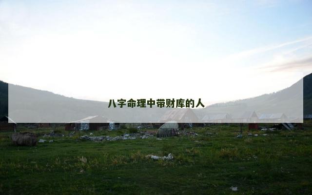 八字命理中带财库的人