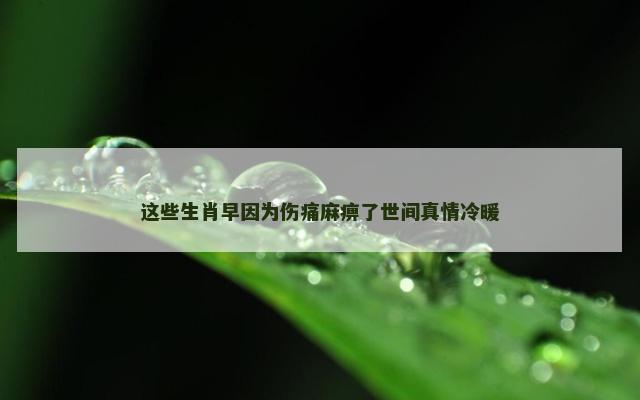这些生肖早因为伤痛麻痹了世间真情冷暖