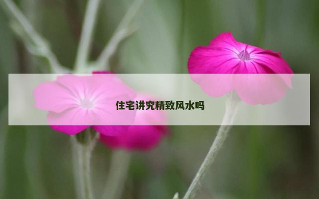 住宅讲究精致风水吗