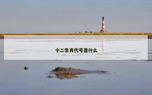 十二生肖代号是什么