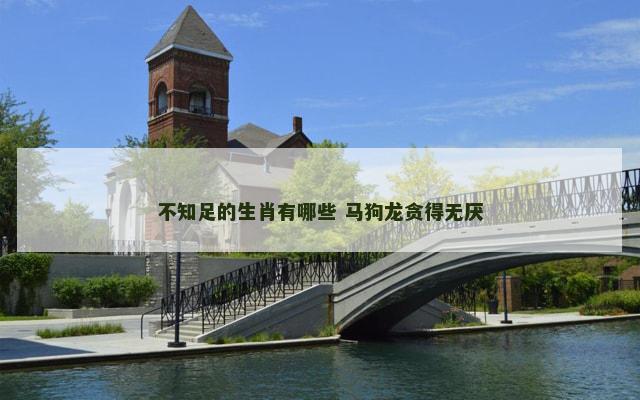 不知足的生肖有哪些 马狗龙贪得无厌