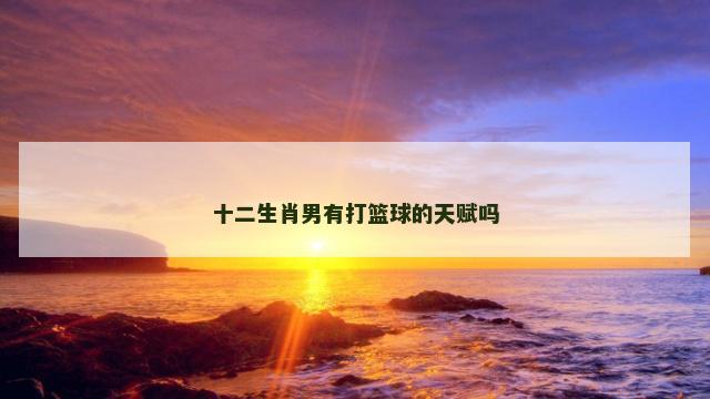 十二生肖男有打篮球的天赋吗