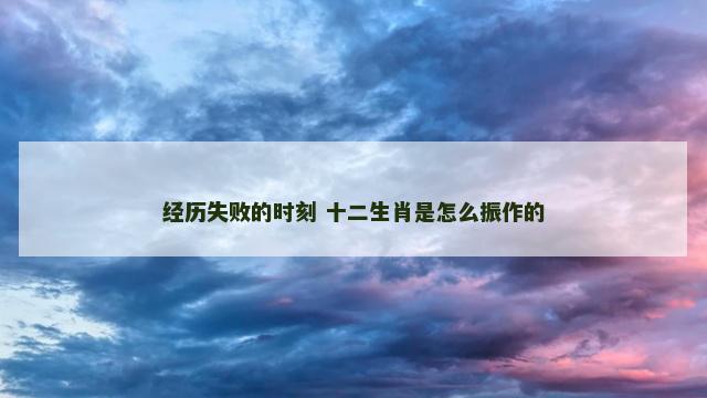 经历失败的时刻 十二生肖是怎么振作的