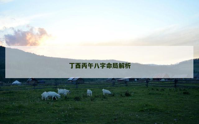 丁酉丙午八字命局解析