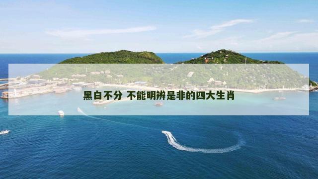 黑白不分 不能明辨是非的四大生肖