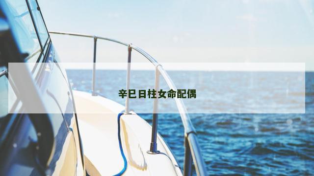 辛巳日柱女命配偶