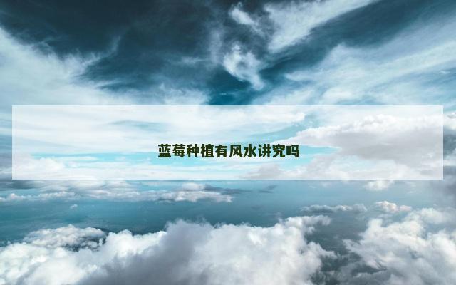 蓝莓种植有风水讲究吗