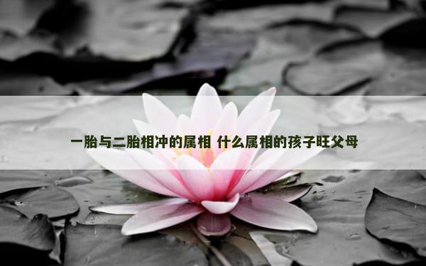 一胎与二胎相冲的属相 什么属相的孩子旺父母