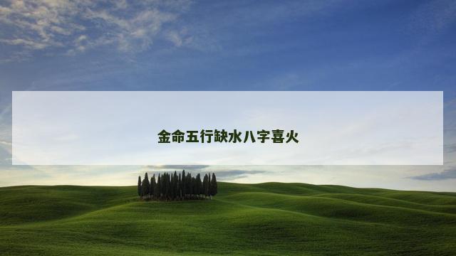 金命五行缺水八字喜火