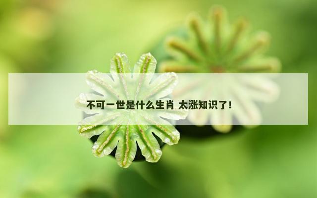 不可一世是什么生肖 太涨知识了！