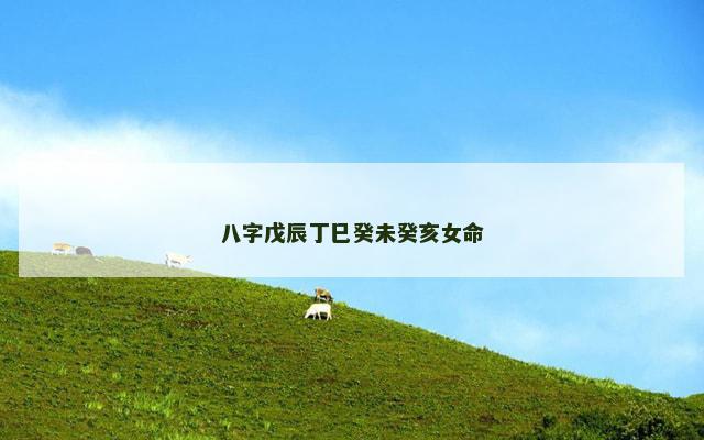 八字戊辰丁巳癸未癸亥女命