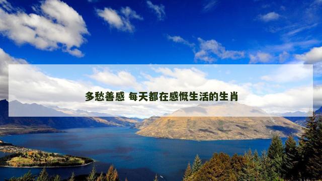 多愁善感 每天都在感慨生活的生肖