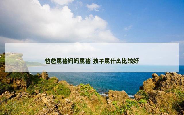 爸爸属猪妈妈属猪 孩子属什么比较好