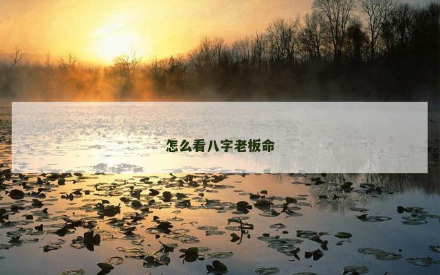 怎么看八字老板命