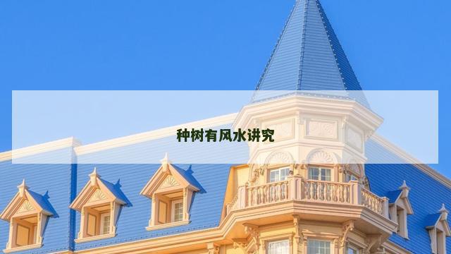 种树有风水讲究