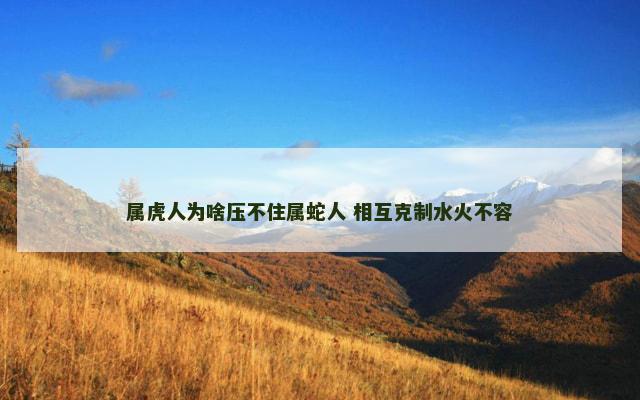 属虎人为啥压不住属蛇人 相互克制水火不容