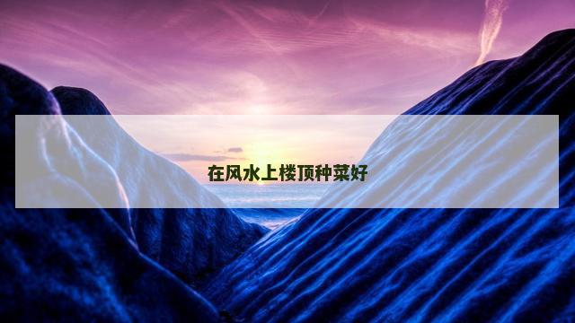 在风水上楼顶种菜好