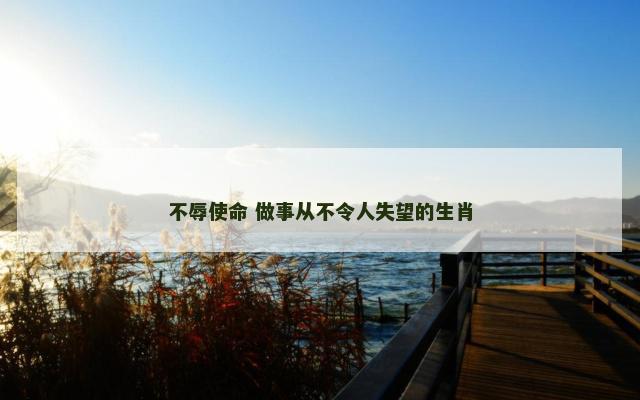 不辱使命 做事从不令人失望的生肖