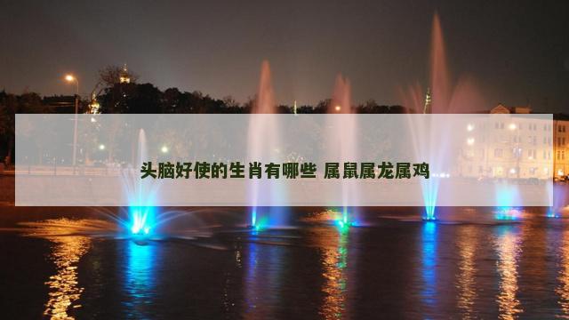 头脑好使的生肖有哪些 属鼠属龙属鸡