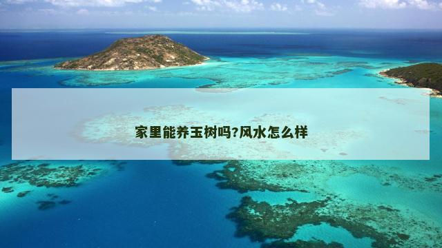 家里能养玉树吗?风水怎么样