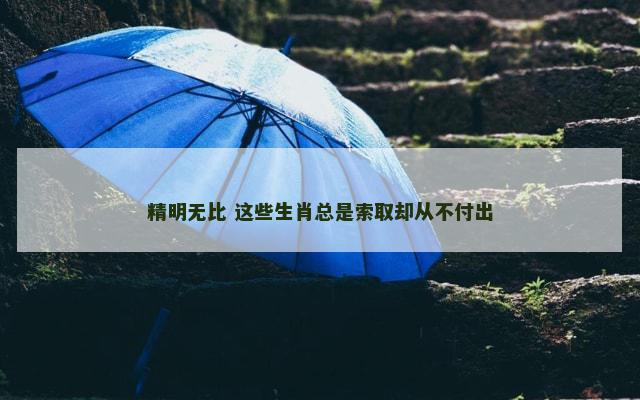 精明无比 这些生肖总是索取却从不付出