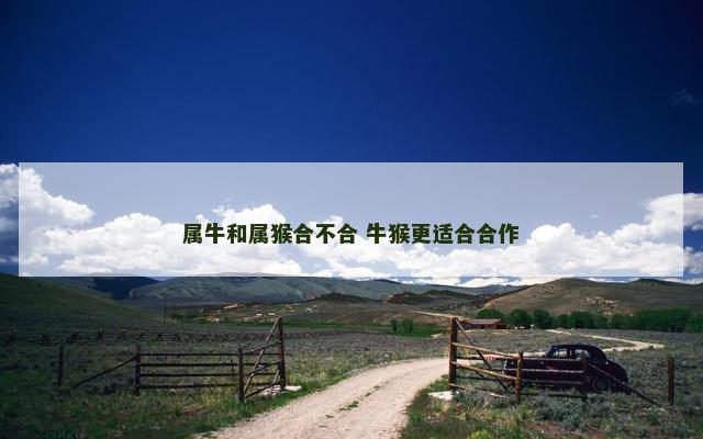 属牛和属猴合不合 牛猴更适合合作