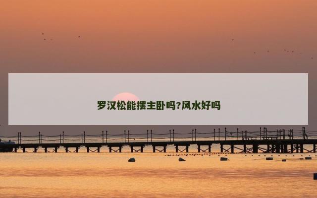 罗汉松能摆主卧吗?风水好吗