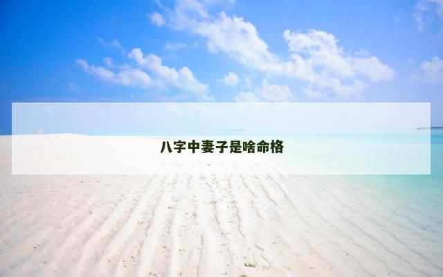 八字中妻子是啥命格