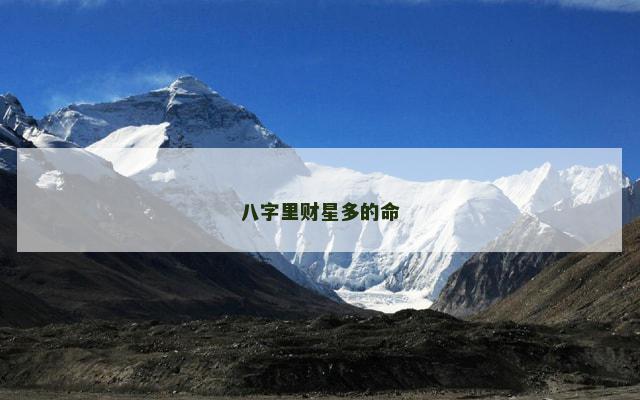 八字里财星多的命