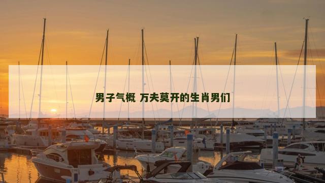 男子气概 万夫莫开的生肖男们