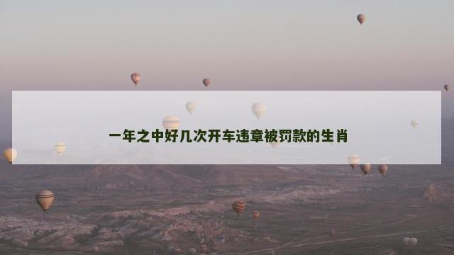 一年之中好几次开车违章被罚款的生肖