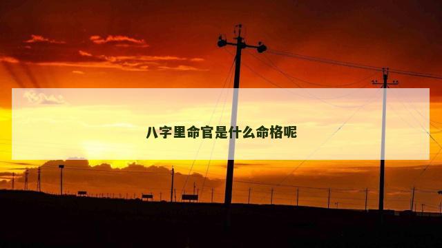 八字里命官是什么命格呢