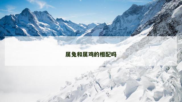 属兔和属鸡的相配吗