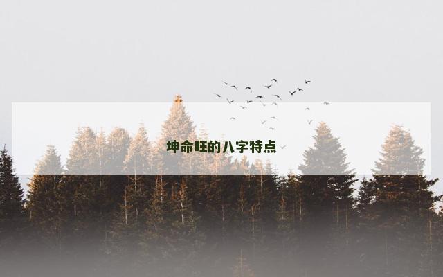 坤命旺的八字特点