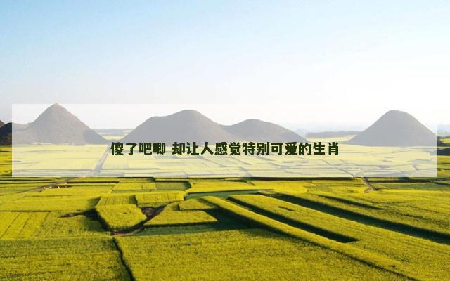 傻了吧唧 却让人感觉特别可爱的生肖