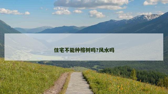 住宅不能种榕树吗?风水吗