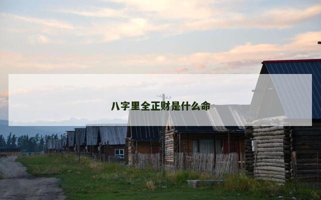 八字里全正财是什么命
