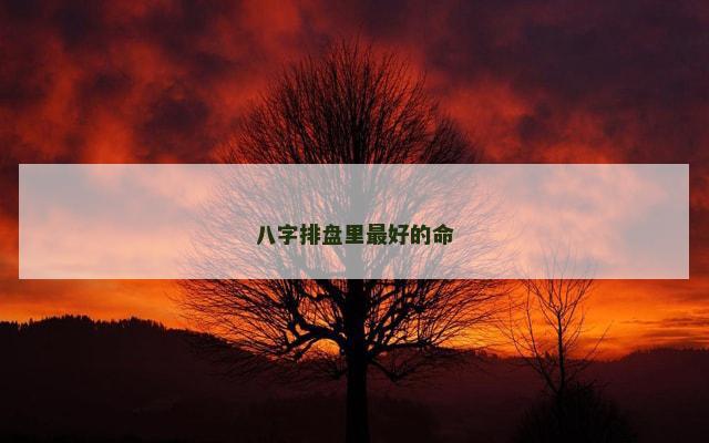 八字排盘里最好的命