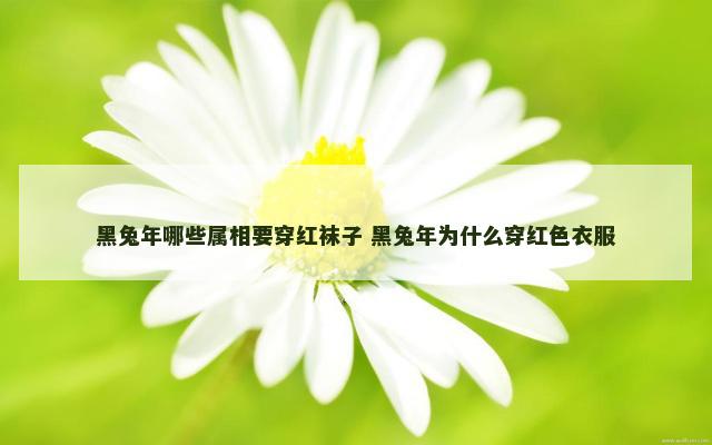 黑兔年哪些属相要穿红袜子 黑兔年为什么穿红色衣服