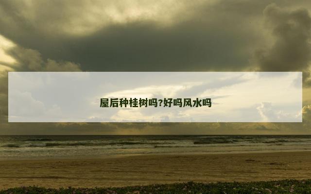 屋后种桂树吗?好吗风水吗