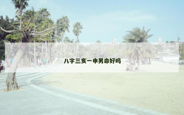 八字三亥一申男命好吗