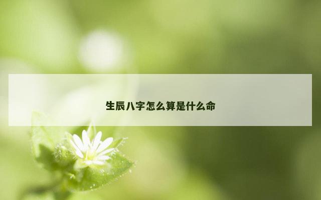 生辰八字怎么算是什么命